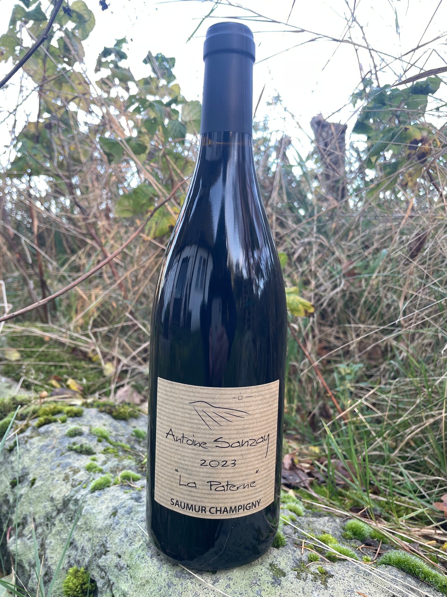 Hylde nr. 144) Antoine Sanzay, La Paterne, 2023