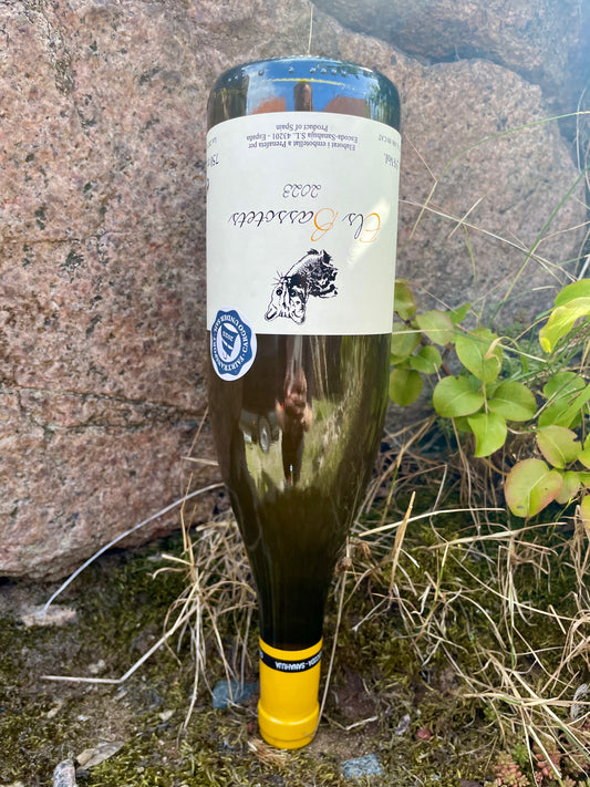 Escoda-Sanahuja, Els Bassotets blanc 2023