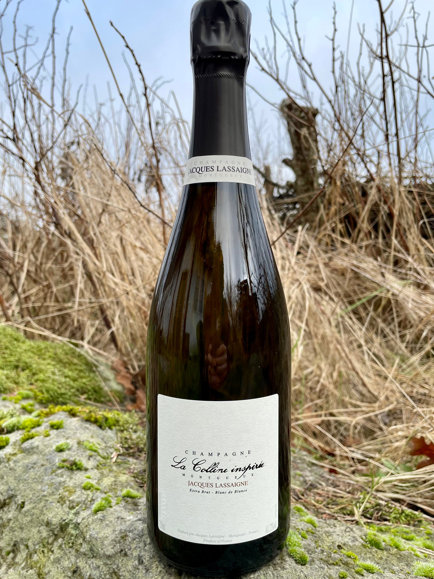 Jacques Lassaigne, La Colline Inspirée NV