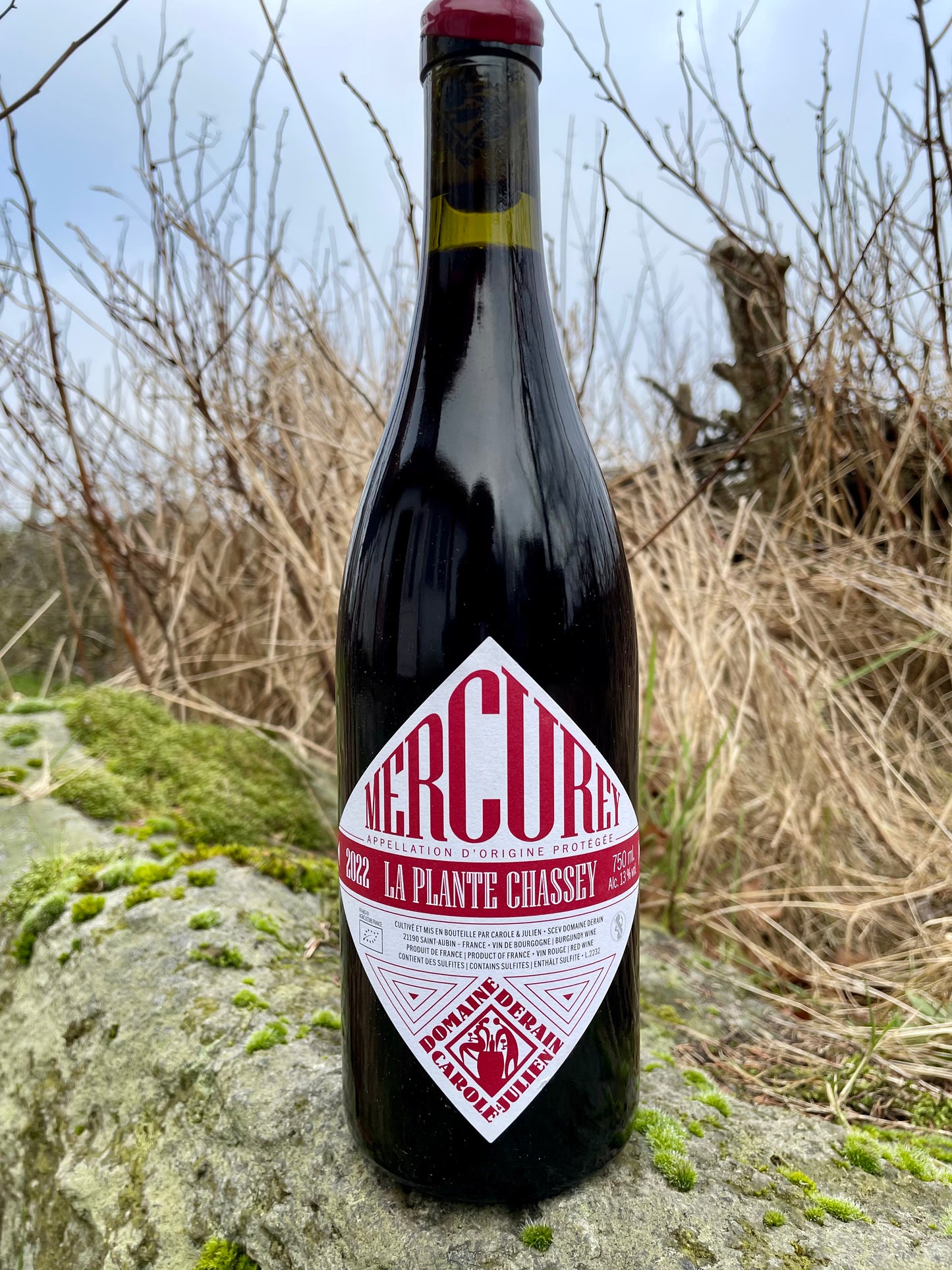 Domaine Derain, Mercurey, La Plante Chassey '22