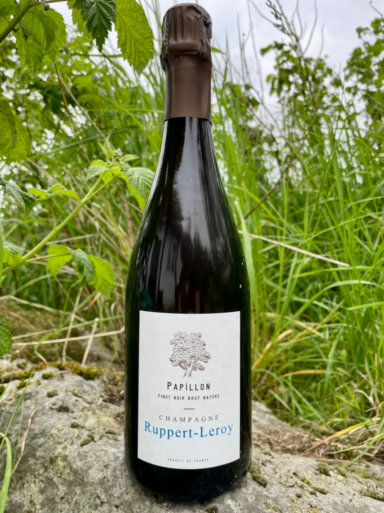 Ruppert-Leroy, Papillon 2022