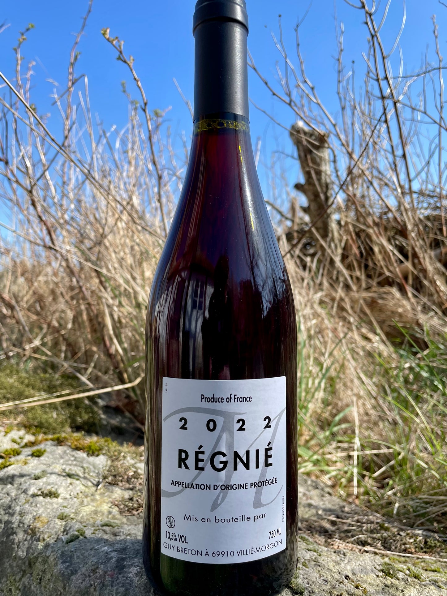 Hylde nr. 150) Guy Breton, Régnié 2023