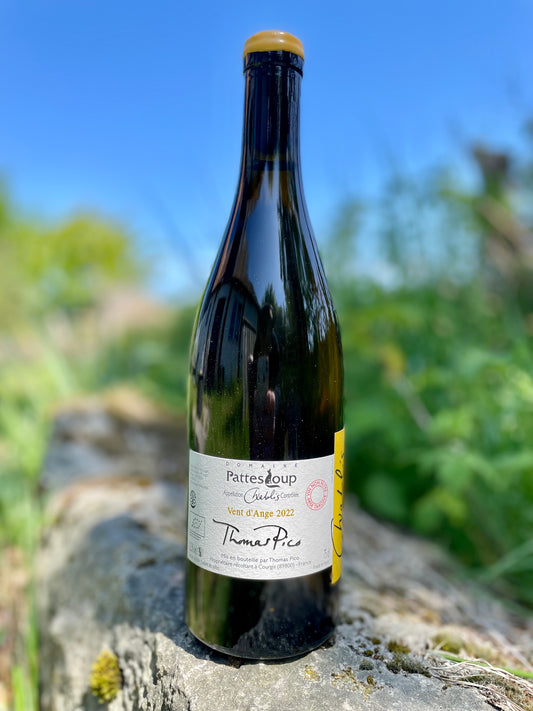 Domaine Pattes Loup, Chablis mise tardive 2022