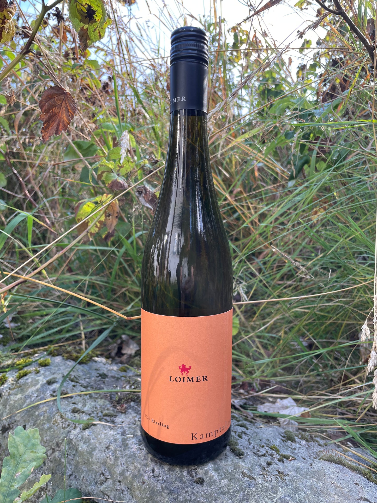 Fred Loimer, Riesling Kamptal 2024