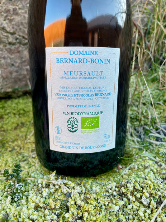 Domaine Bernard-Bonin, Meursault - La Rencontre 2023