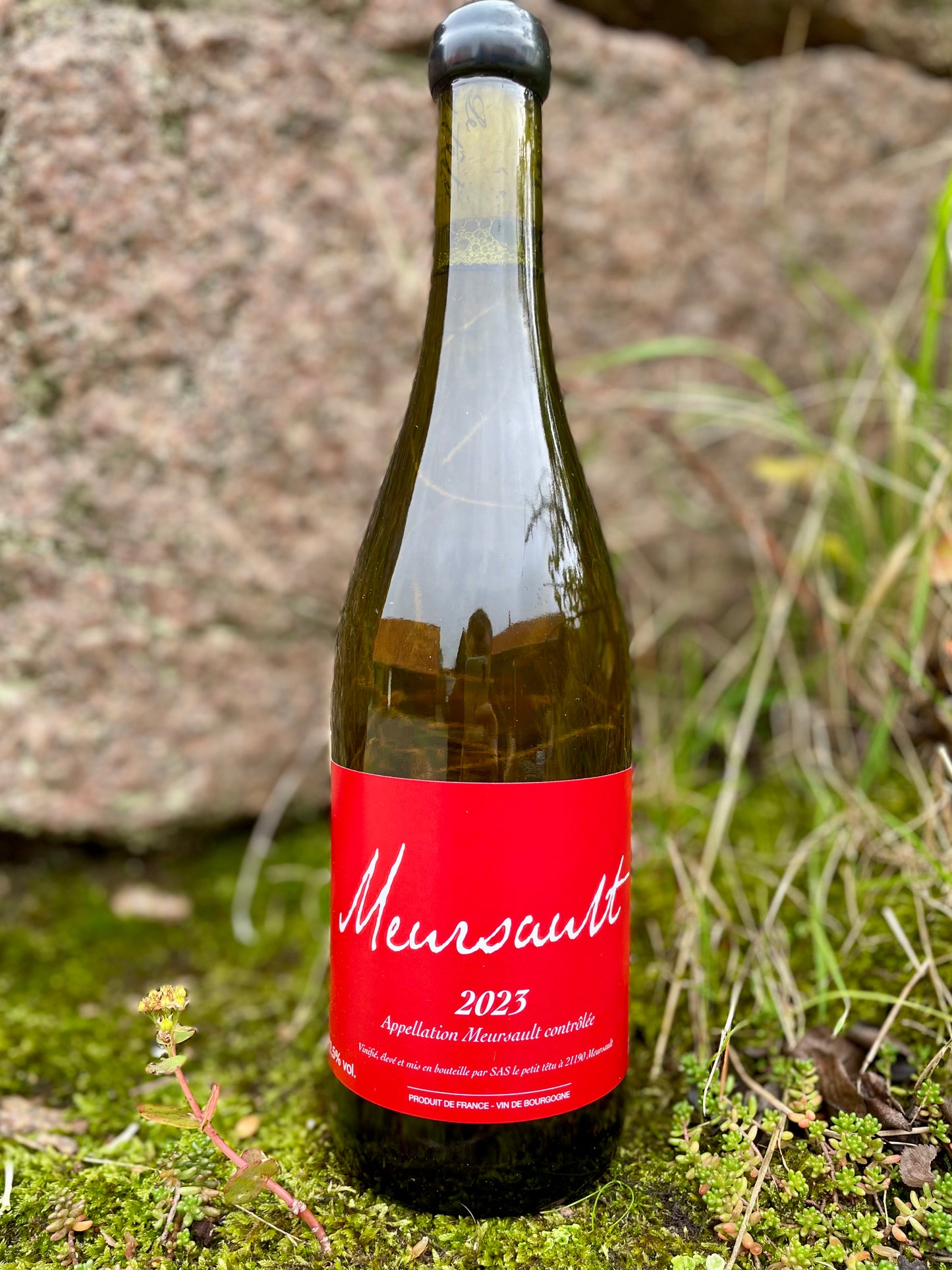 Jean Marie Berrux - Meursault 2023