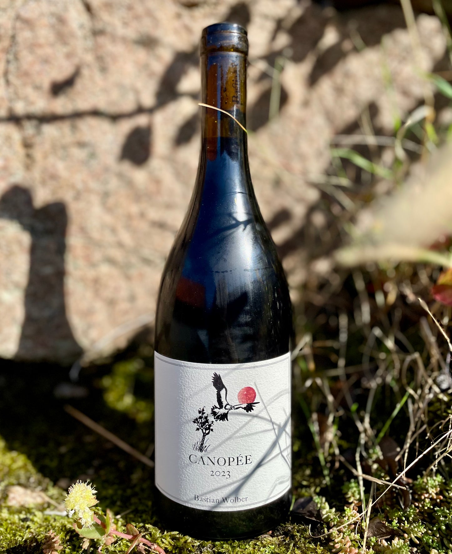 Bastian Wolber, Canopé - Bourgogne Côte d'Or Rouge 2023