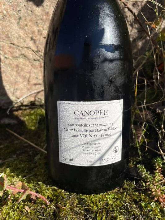 Bastian Wolber, Canopé - Bourgogne Côte d'Or Rouge 2023