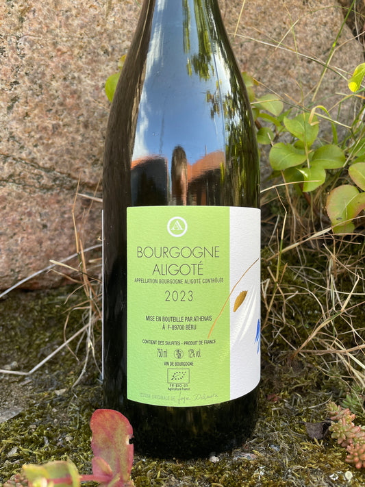 Athénaïs Béru - Bourgogne Aligoté 2023