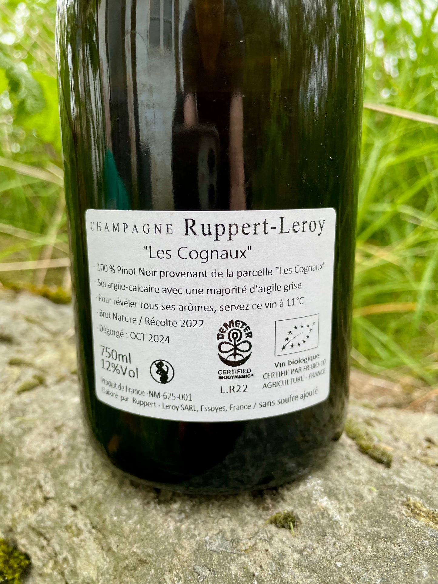 Ruppert-Leroy, Les Cognaux 2022