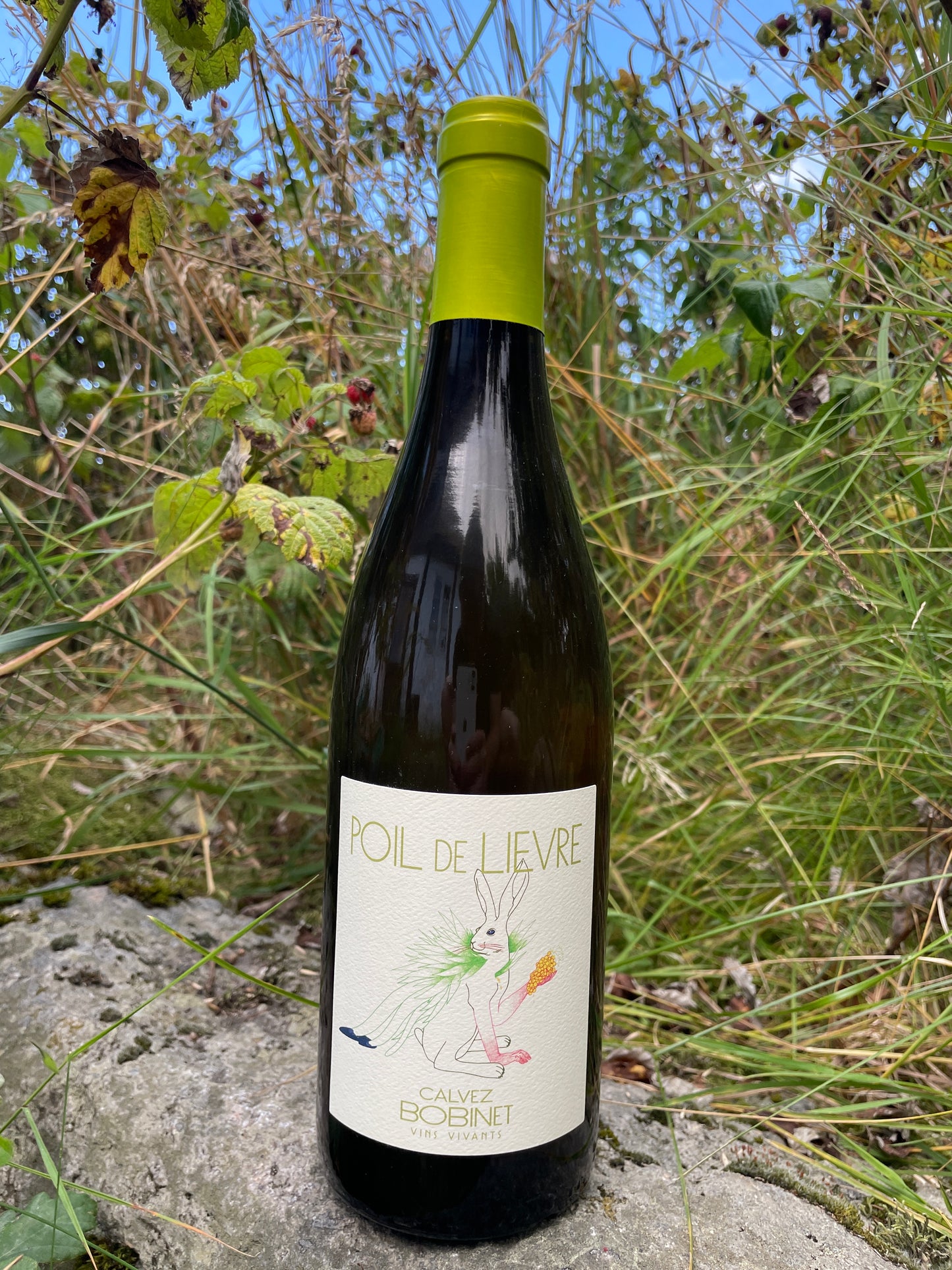 Hylde nr. 114) Domaine Bobinet, Poil de Lièvre 2023