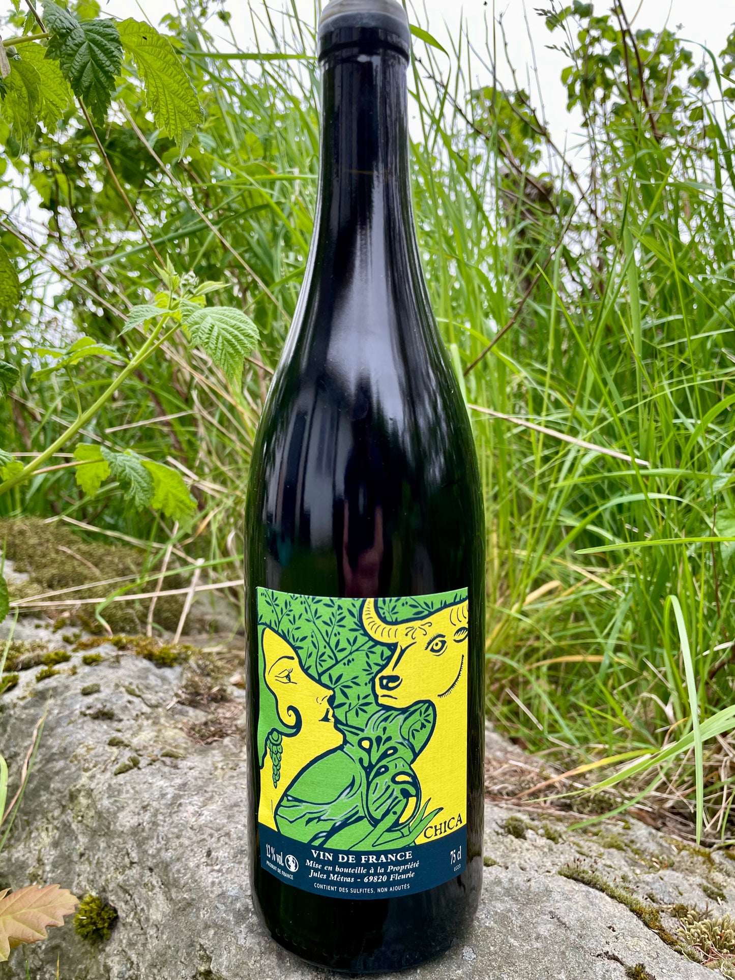 Jules Métras, Chica, Fleurie, Beaujolais 2023