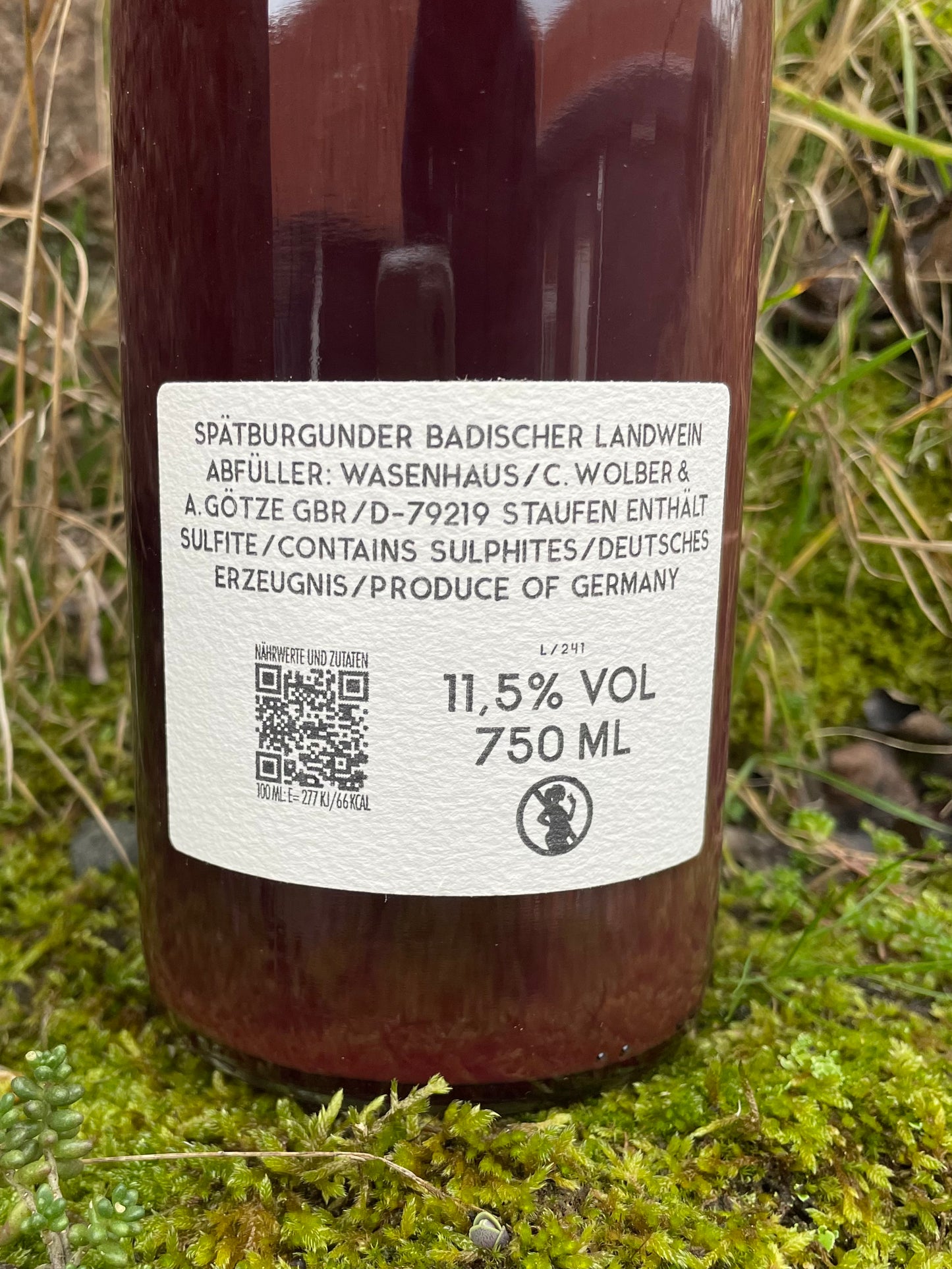 Wasenhaus - Grand Ordinaire 2024