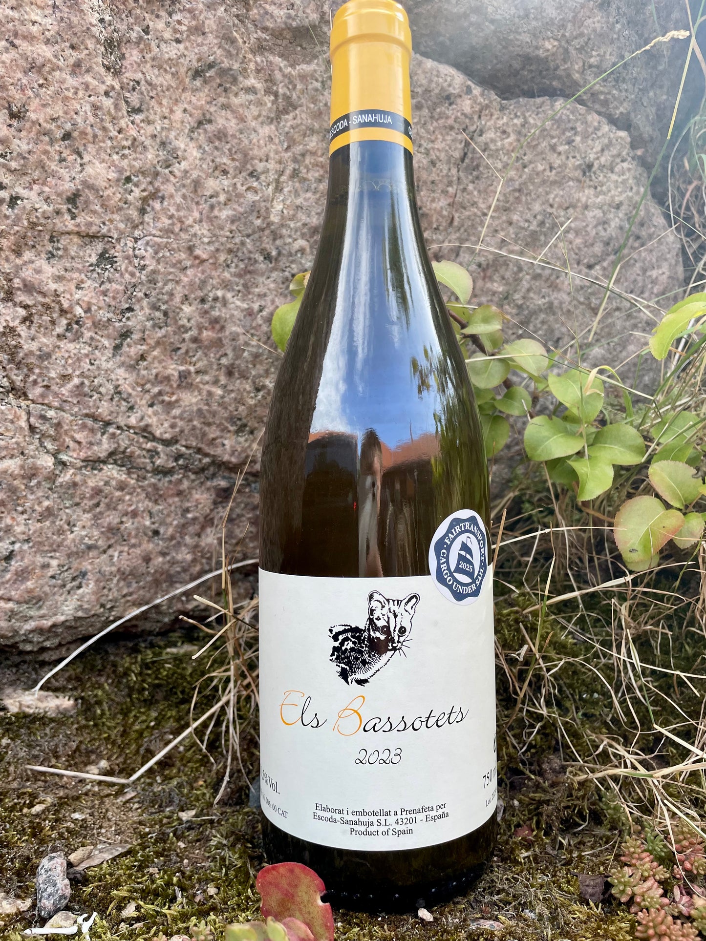 Escoda-Sanahuja, Els Bassotets blanc 2023