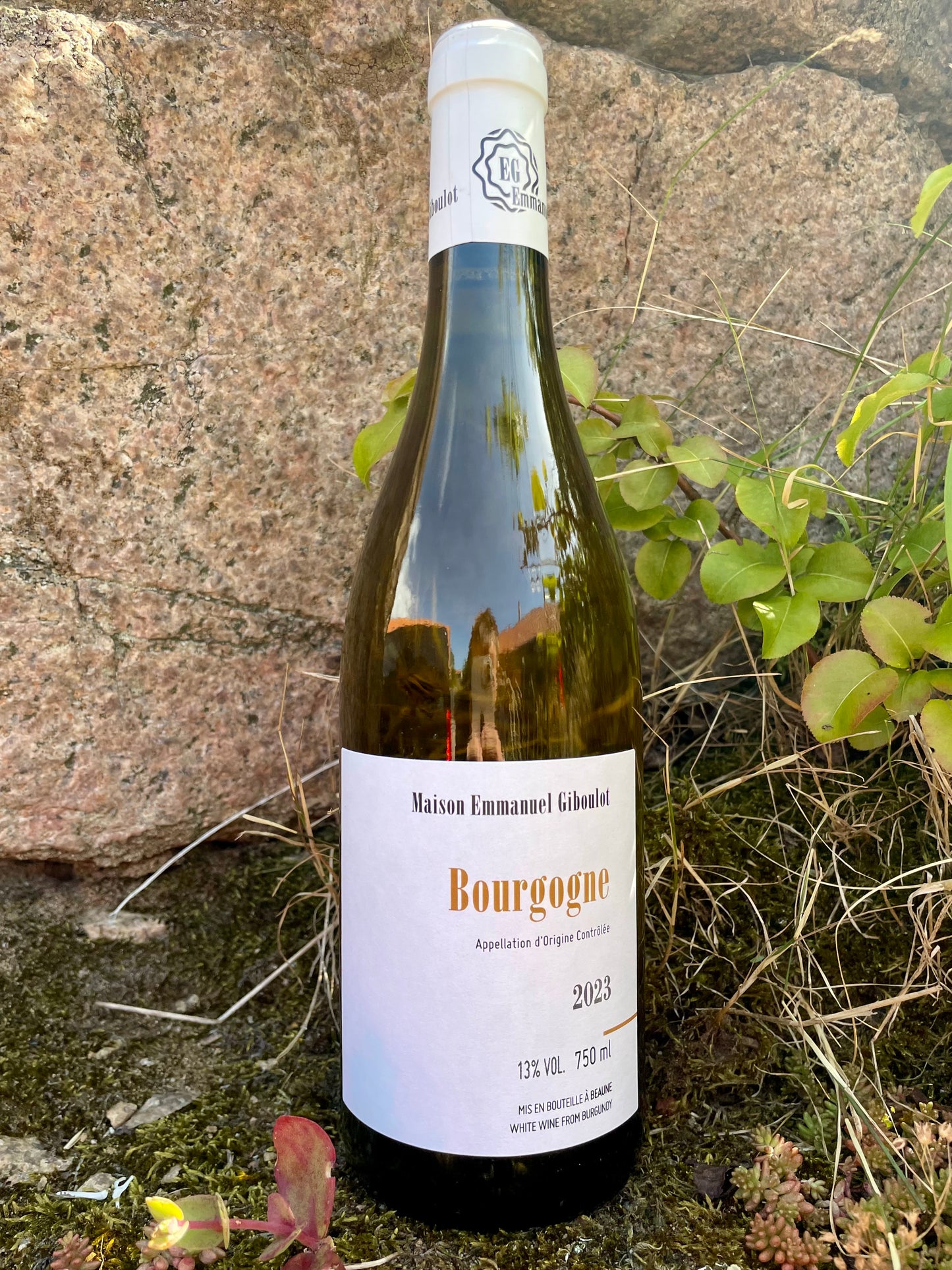 Maison Emmanuel Giboulot - Bourgogne Blanc 2023