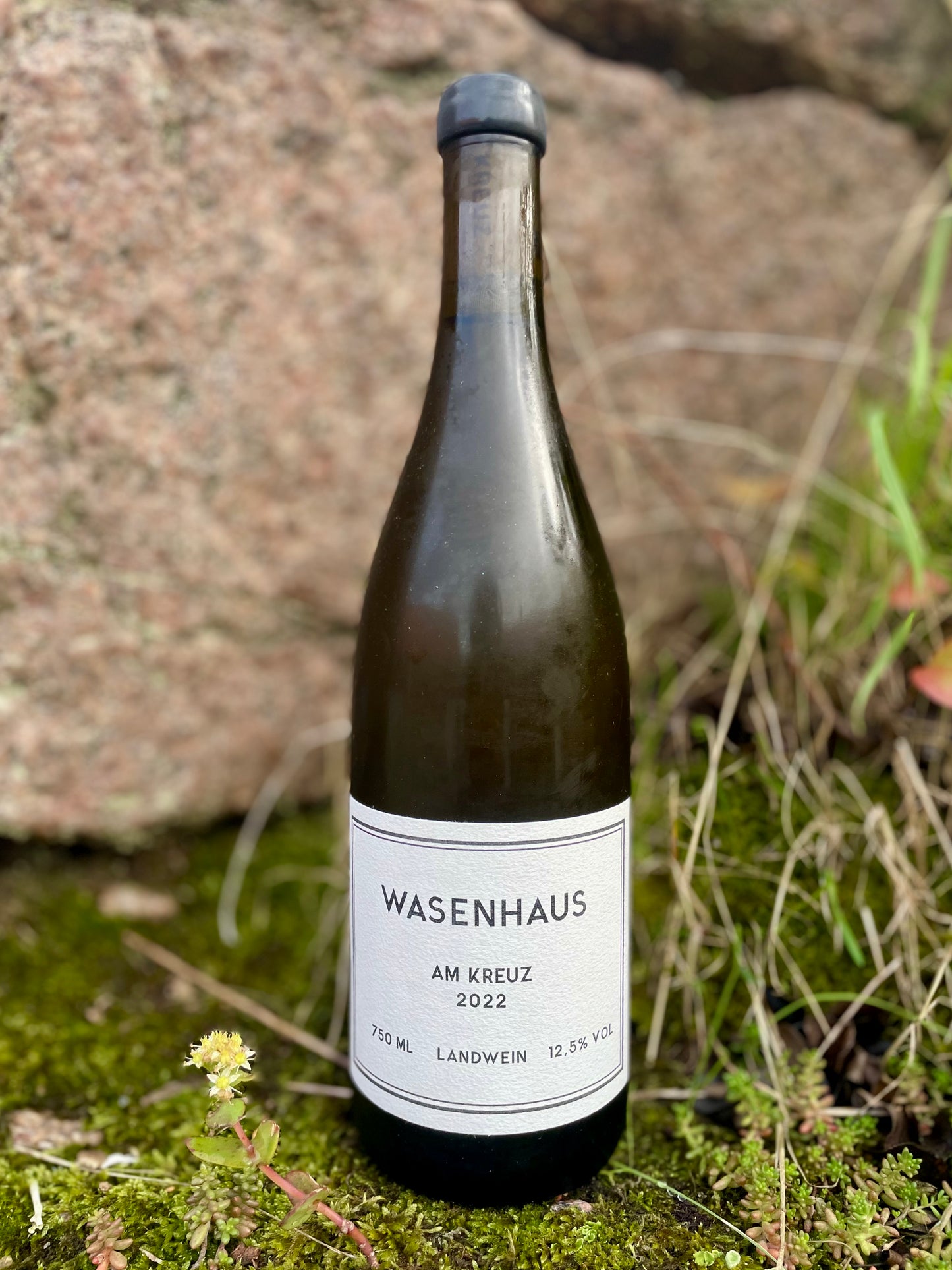 Wasenhaus - Am Kreuz 2022