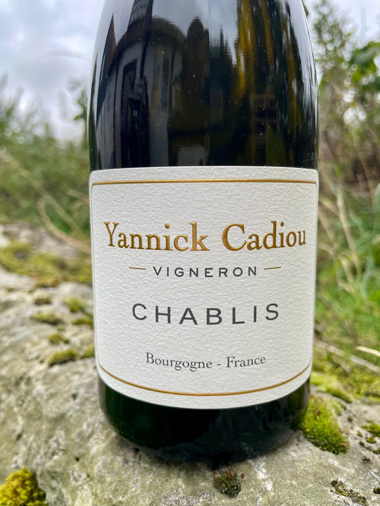 Yannick Cadiou, Chablis 2023