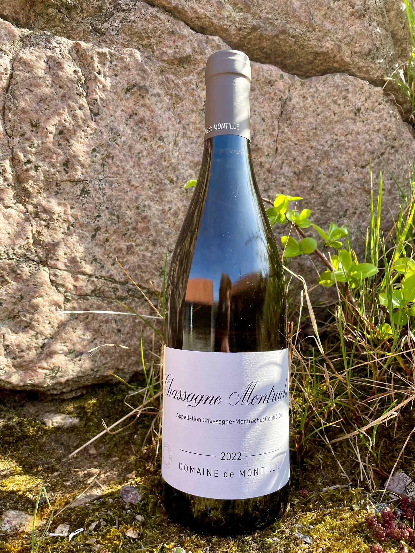 Domaine de Montille, Chassagne-Montrachet, Bourgogne 2022