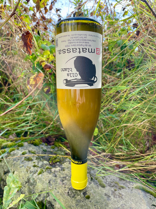 Matassa - Olla Blanc 2024