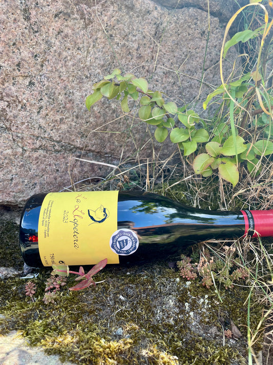 Escoda-Sanahuja, La Llopetera tinto 2023