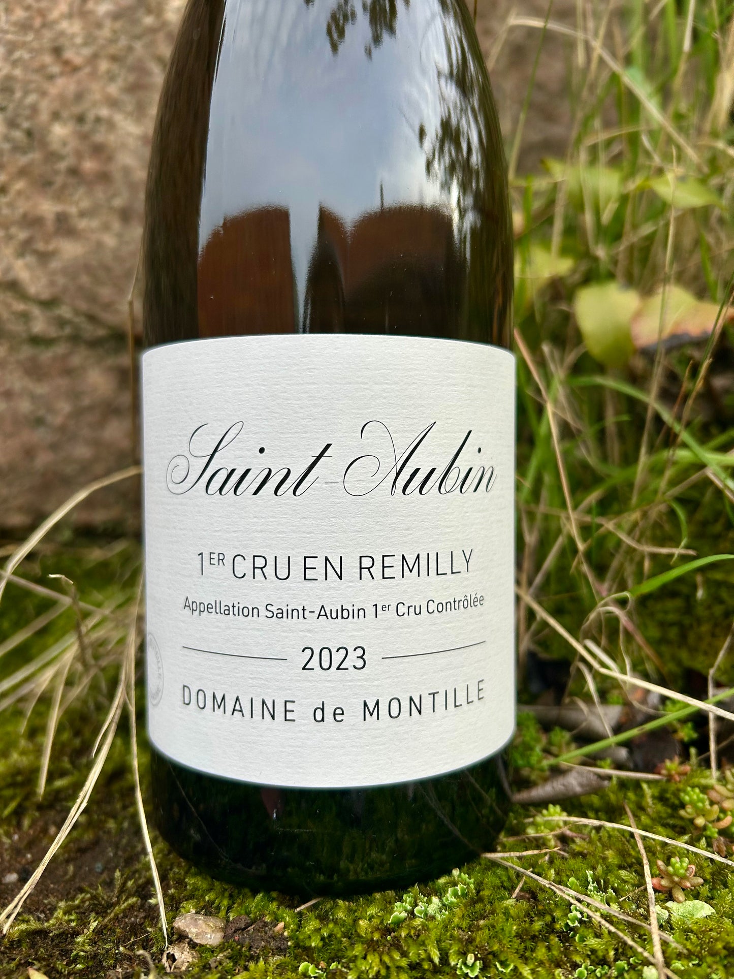 Domaine de Montille, Saint-Aubin 1er Cru, En Remilly 2023
