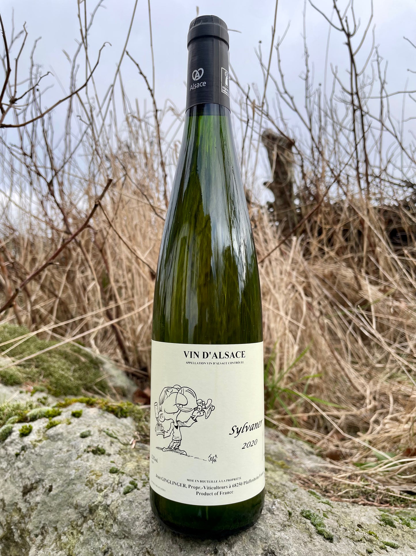 Jean Ginglinger - Sylvaner '20