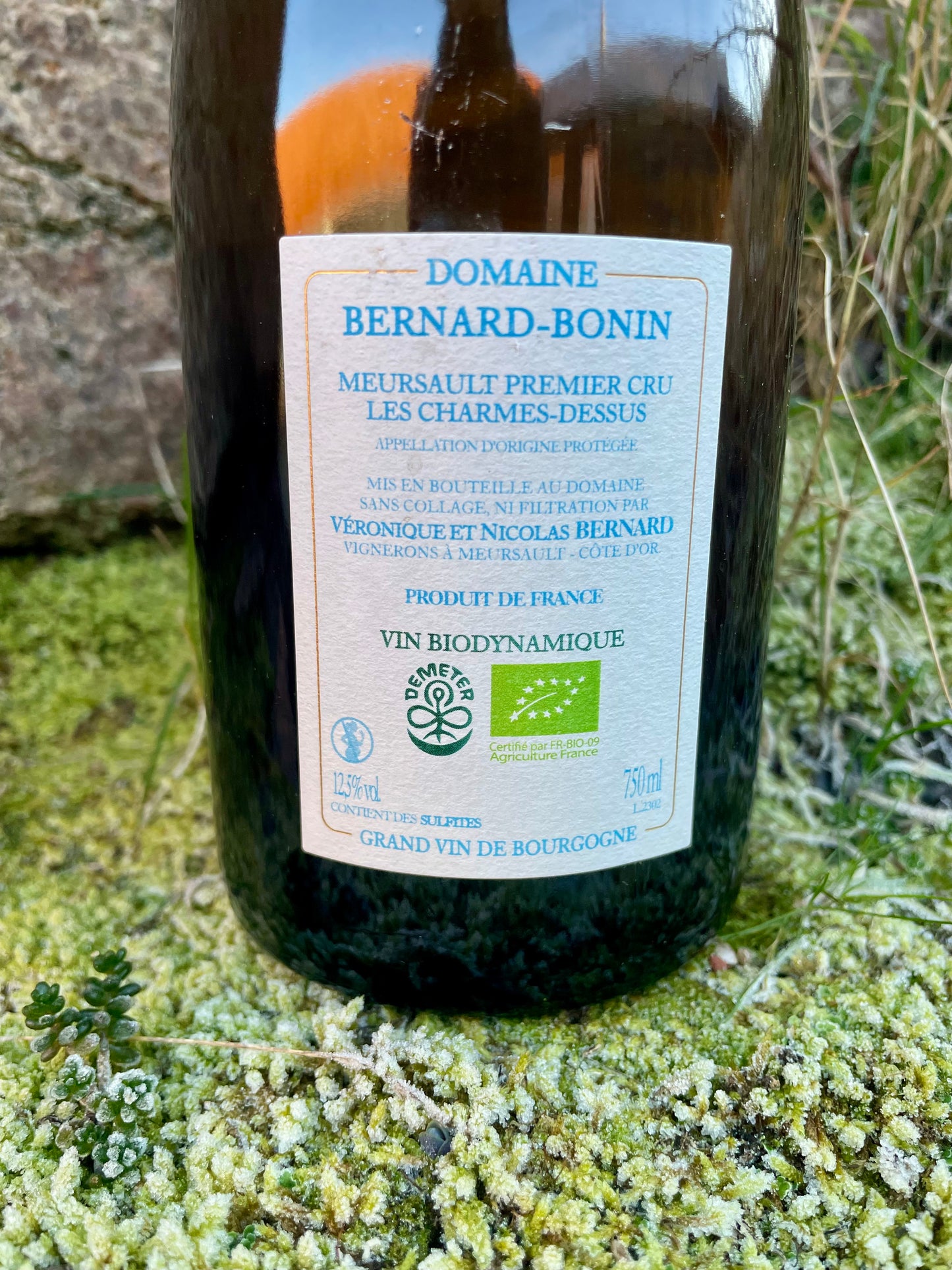 Jean Marie Berrux - Burgundy Blanc "Le Têtu" 2023