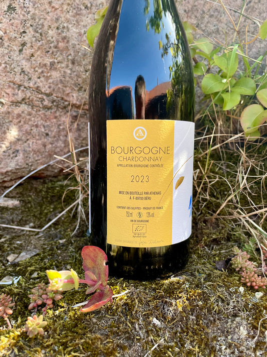 Athénaïs Béru - Bourgogne Chardonnay 2023