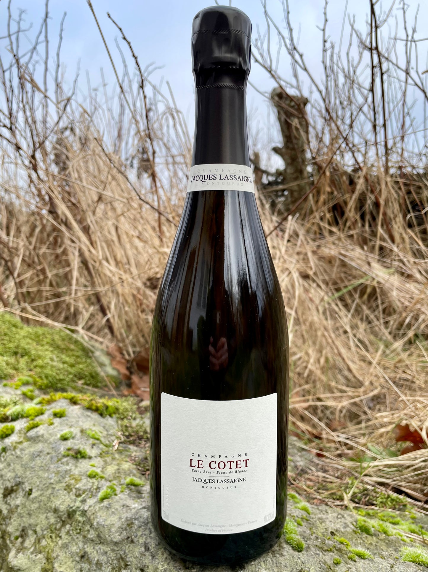 Jacques Lassaigne, Le Cotet, NV