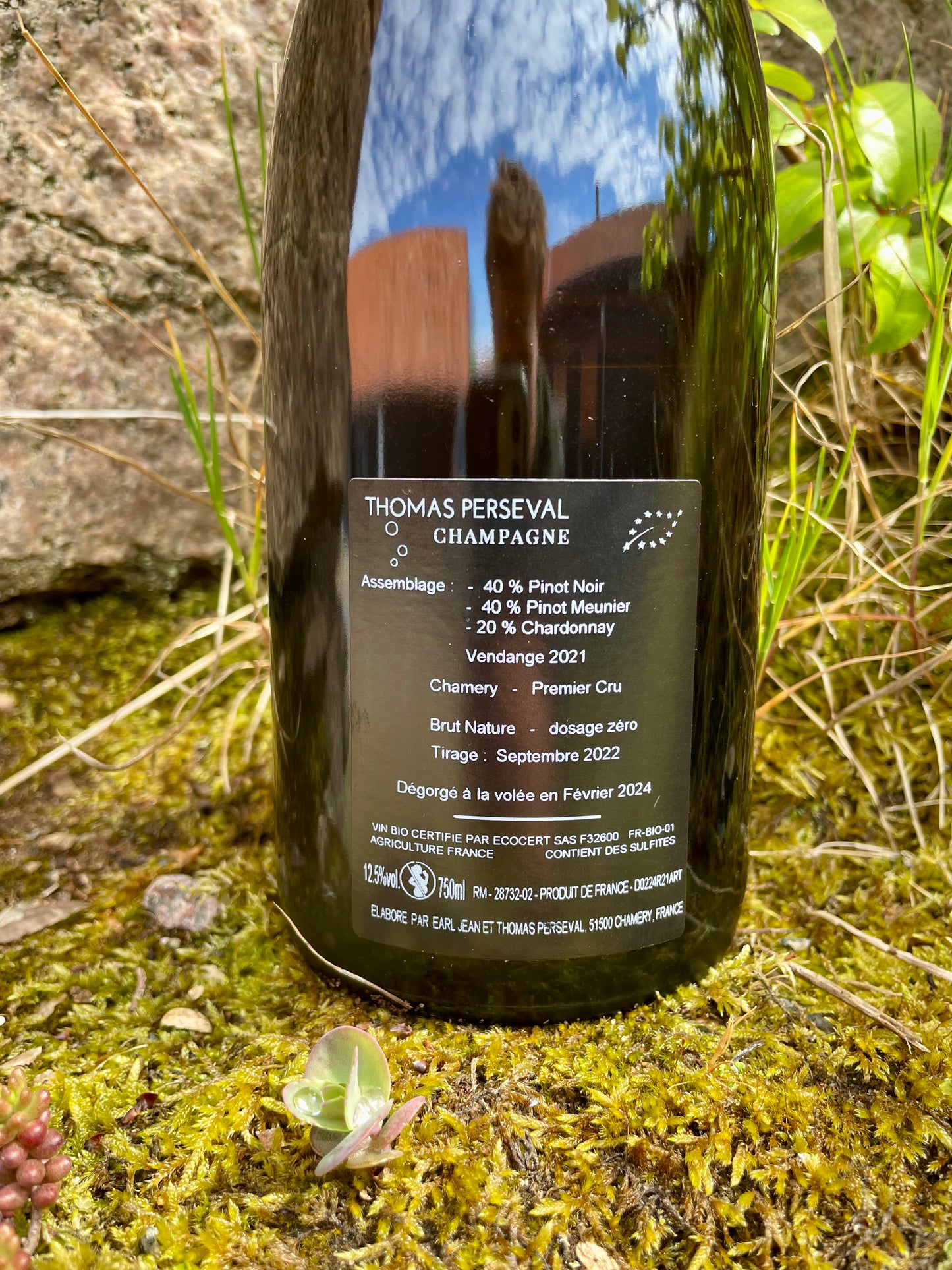 Thomas Perseval, Chamery 1. Cru - Art'Terre 2021