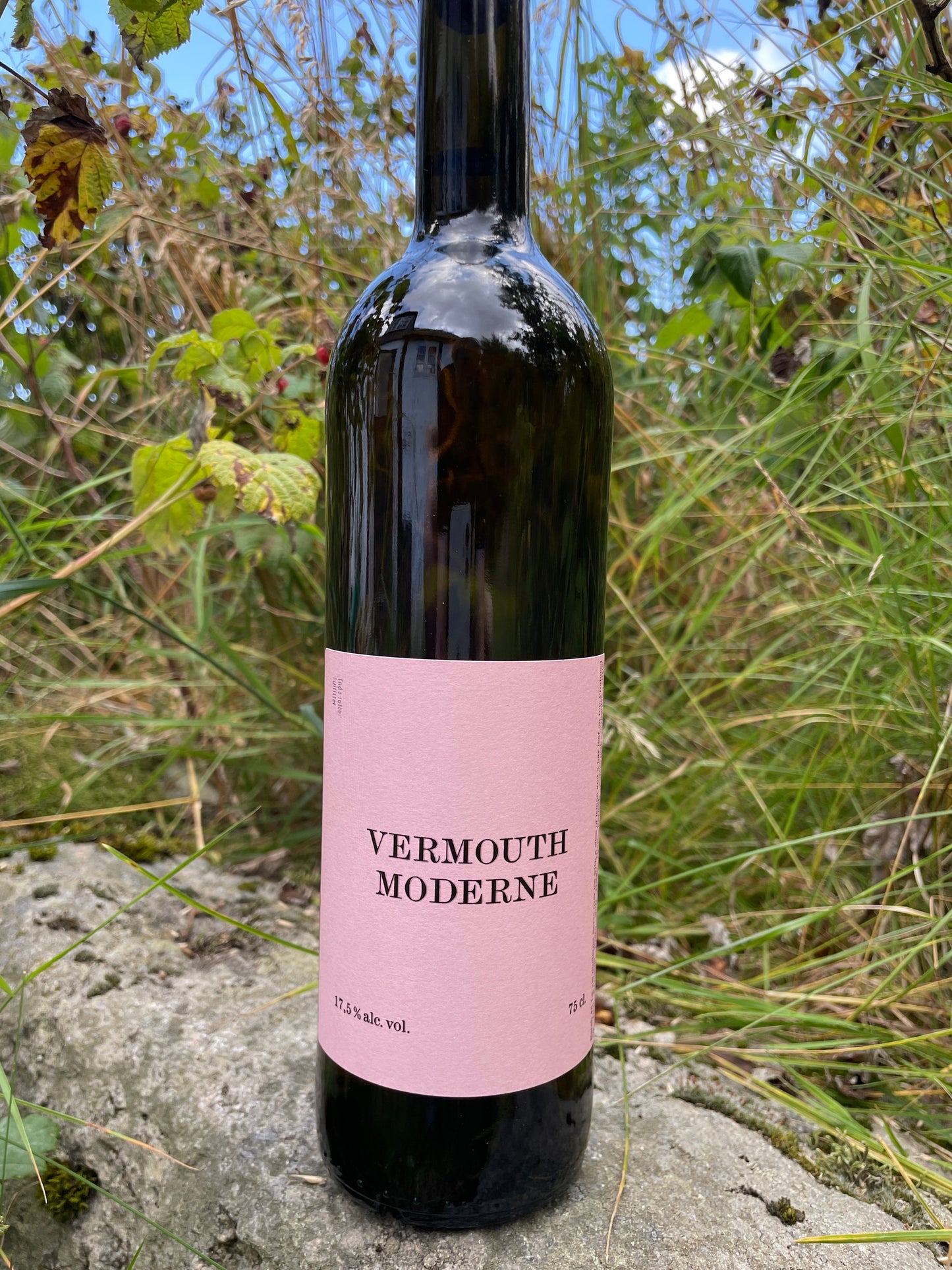 Vermouth Moderne – Den Klodsede Bjørn (75 cl)