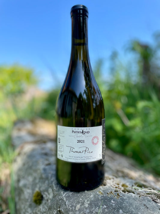 Domaine Pattes Loup, Chablis 1er Cru "Butteaux" 2021