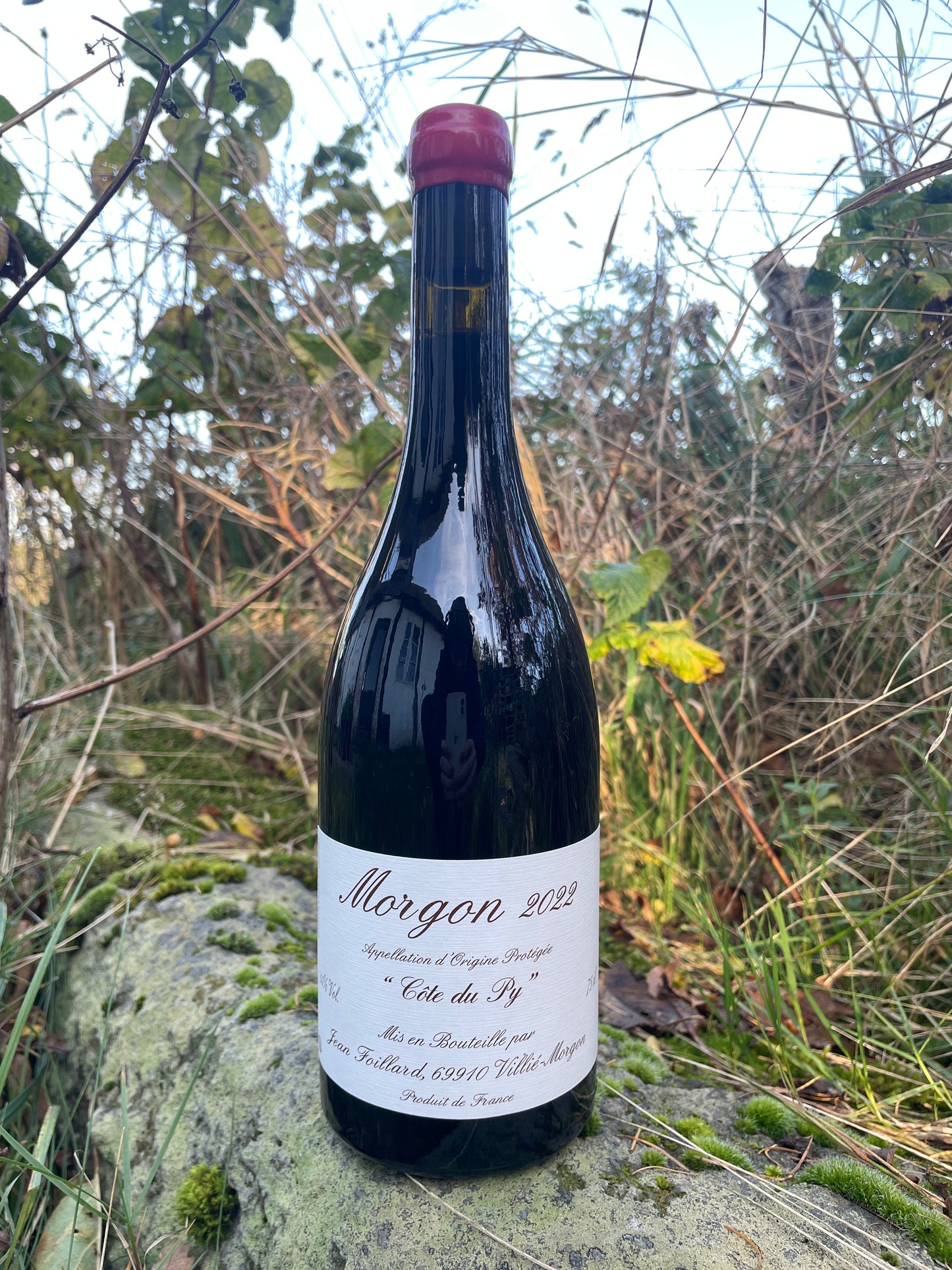 Shelf no. 149) Agnès & Jean Foillard - Morgon Côte du Py '22