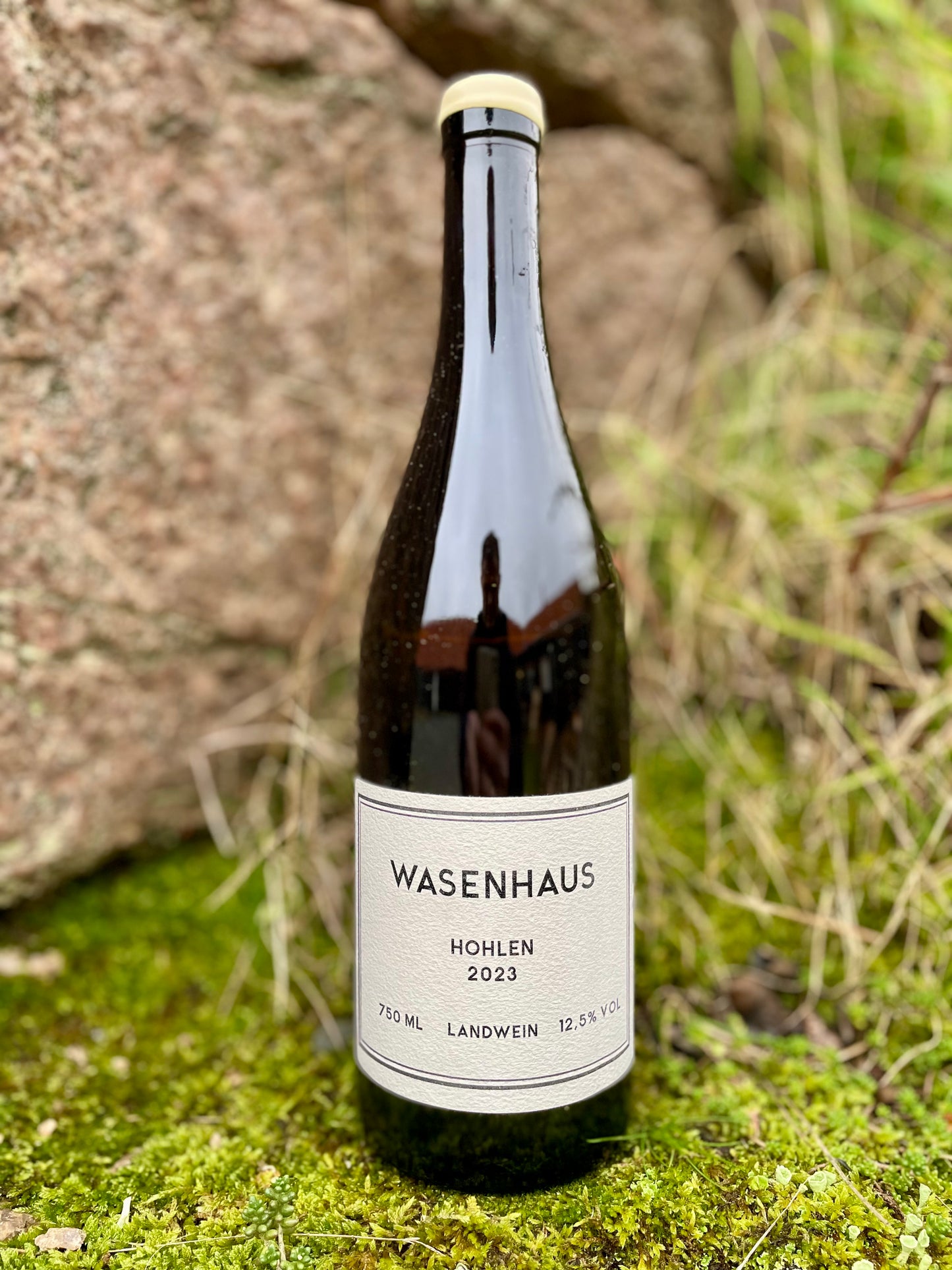 Wasenhaus - Hohlen 2023