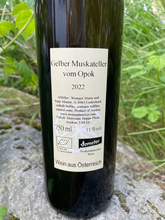 Muster, Gelber Muskateller vom Opok 2023