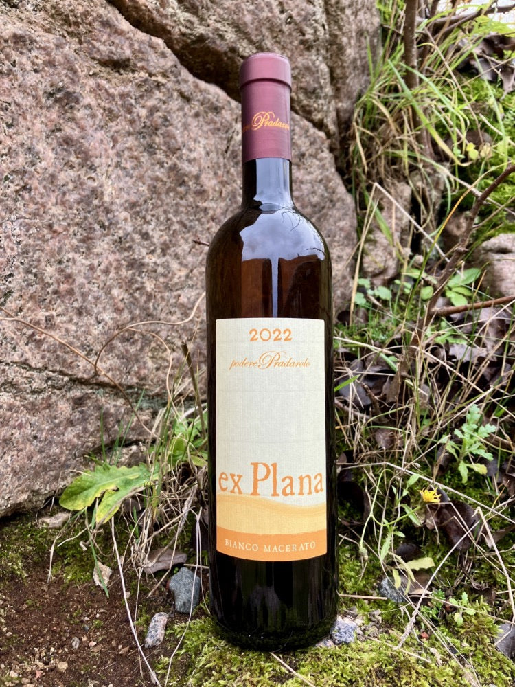 Podere Pradarolo - Ex Plana 2023