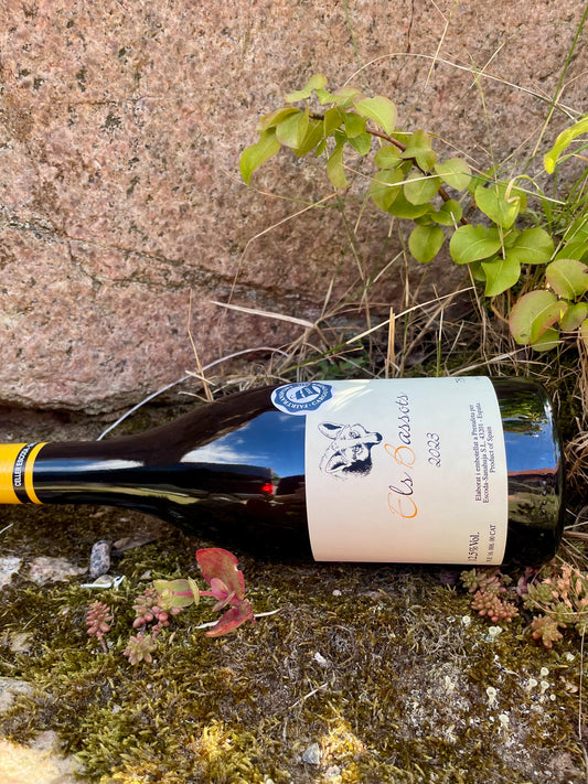 Escoda-Sanahuja, Els Bassots blanc 2023