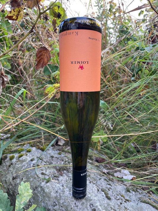 Fred Loimer, Riesling Kamptal 2024