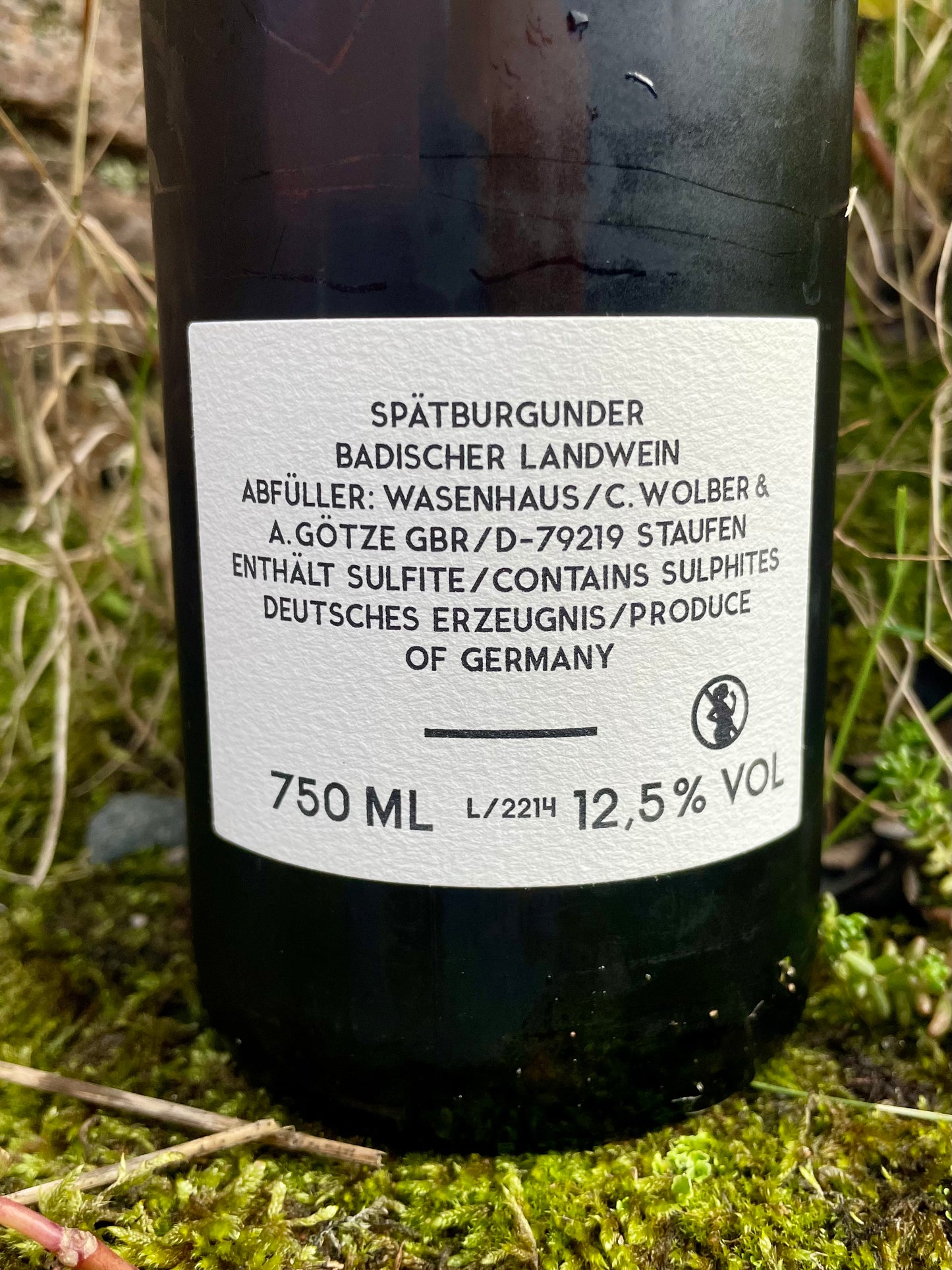 Wasenhaus - Lime 2022