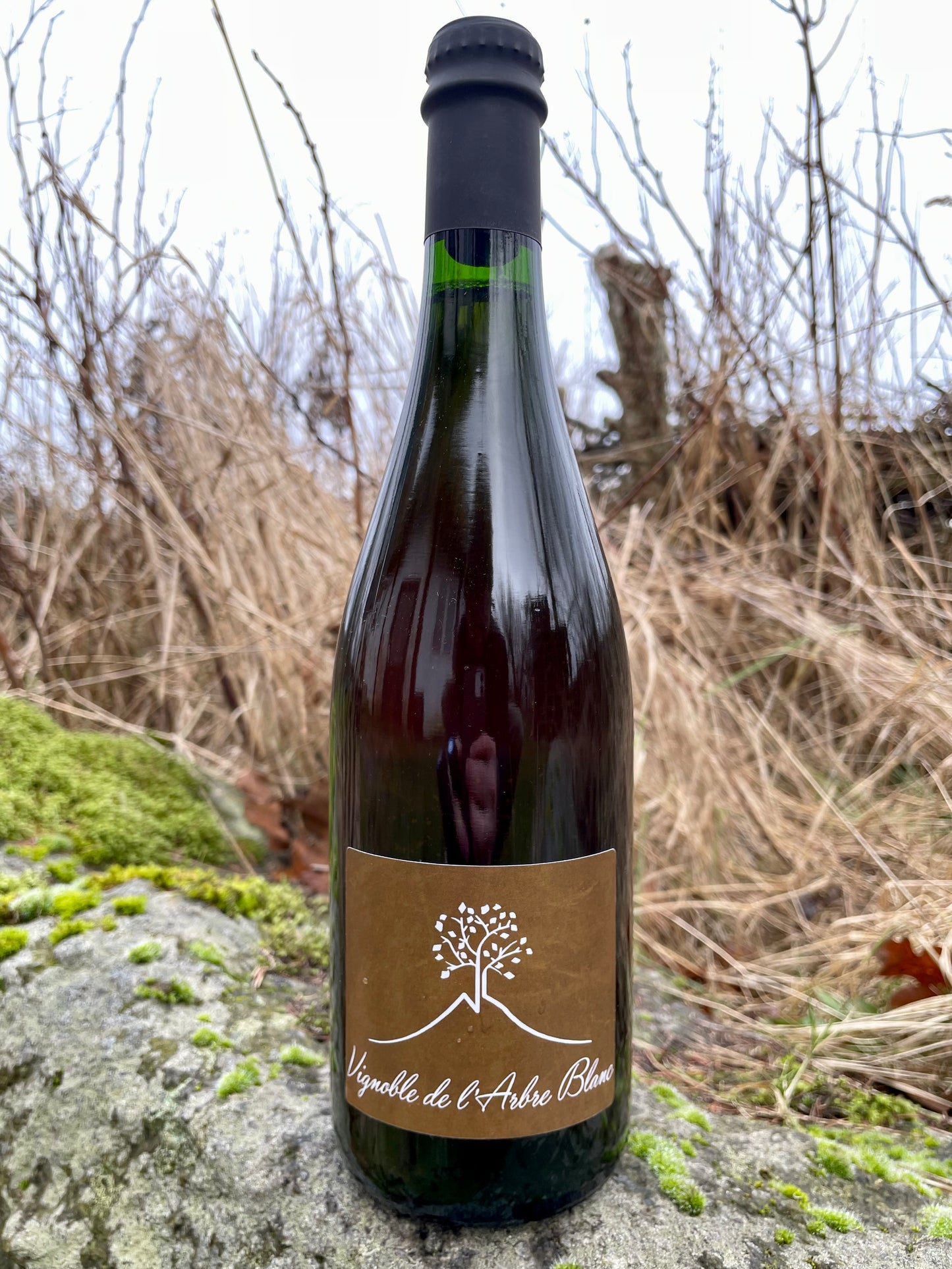 Vignoble de l'Arbre Blanc - Les Fesses 2023