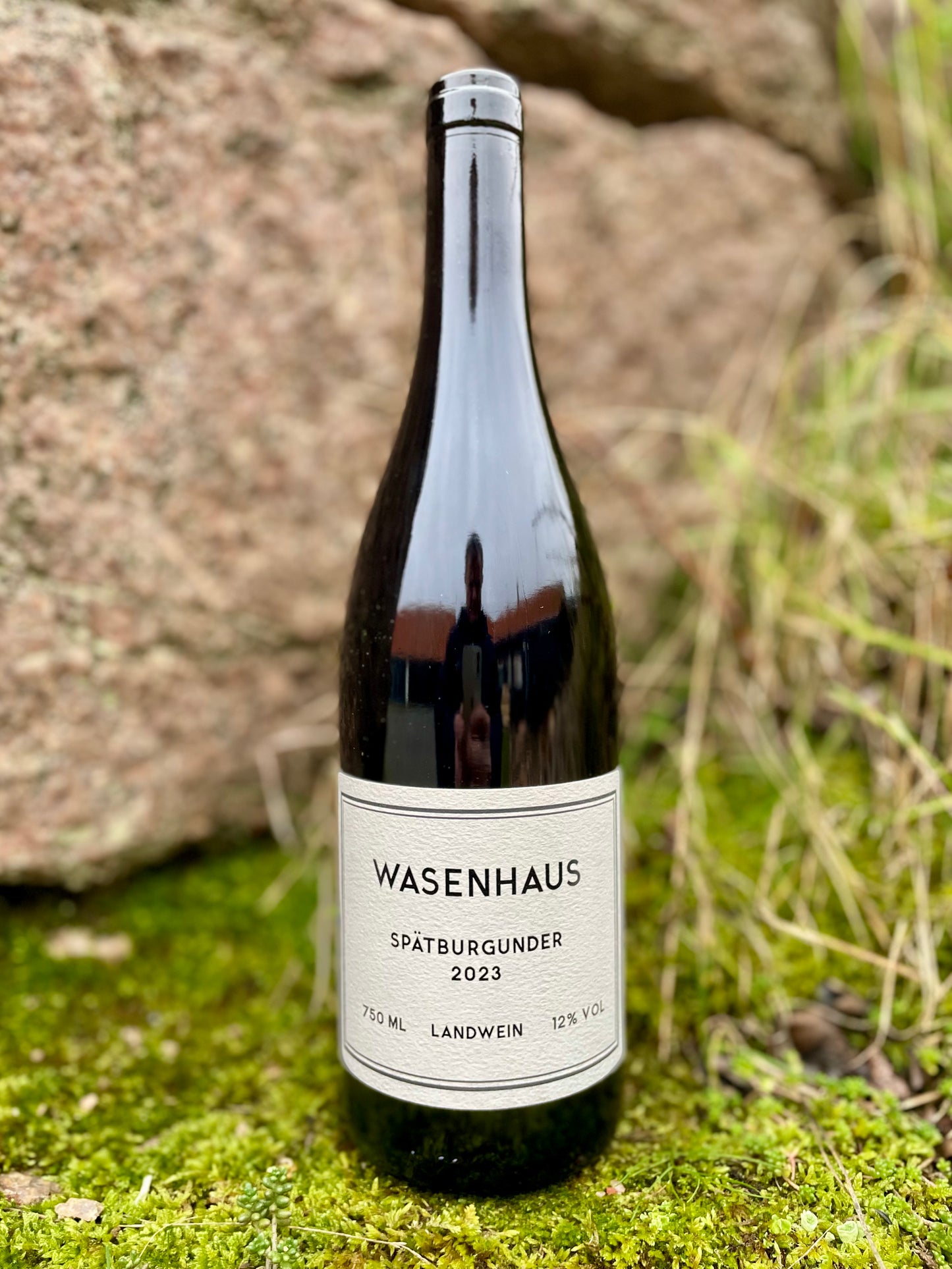 Wasenhaus - Spätburgunder 2023