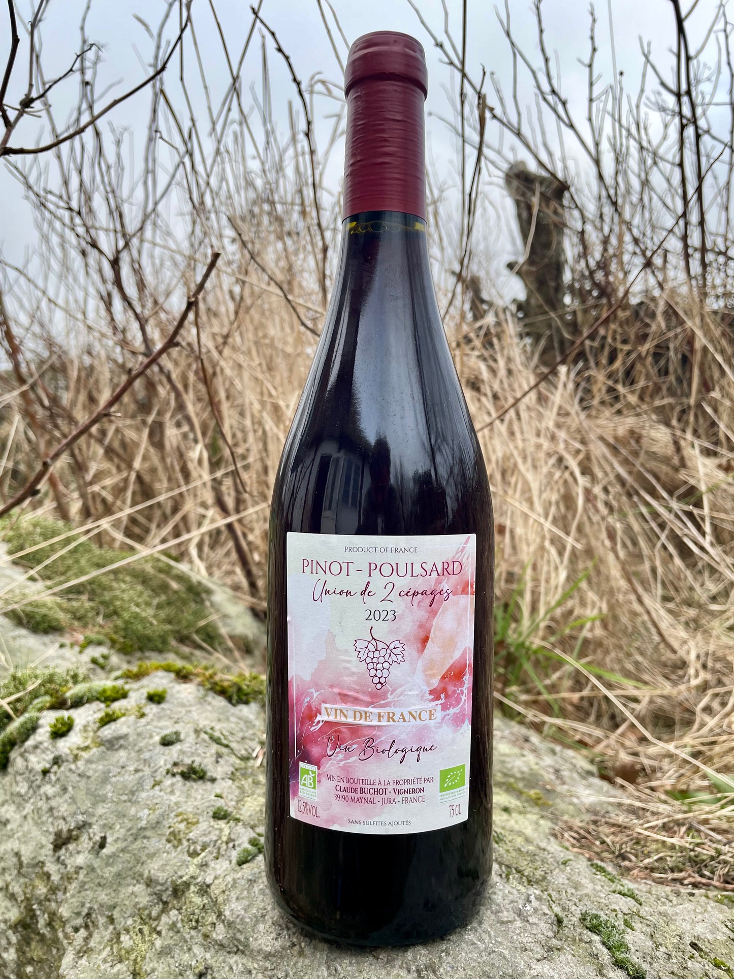 Claude Buchot - Pinot / Poulsard 2023