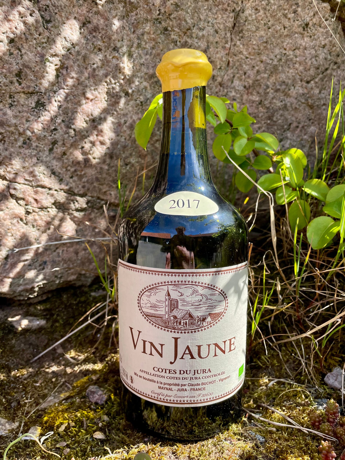 Claude Buchot - Vin Jaune '17