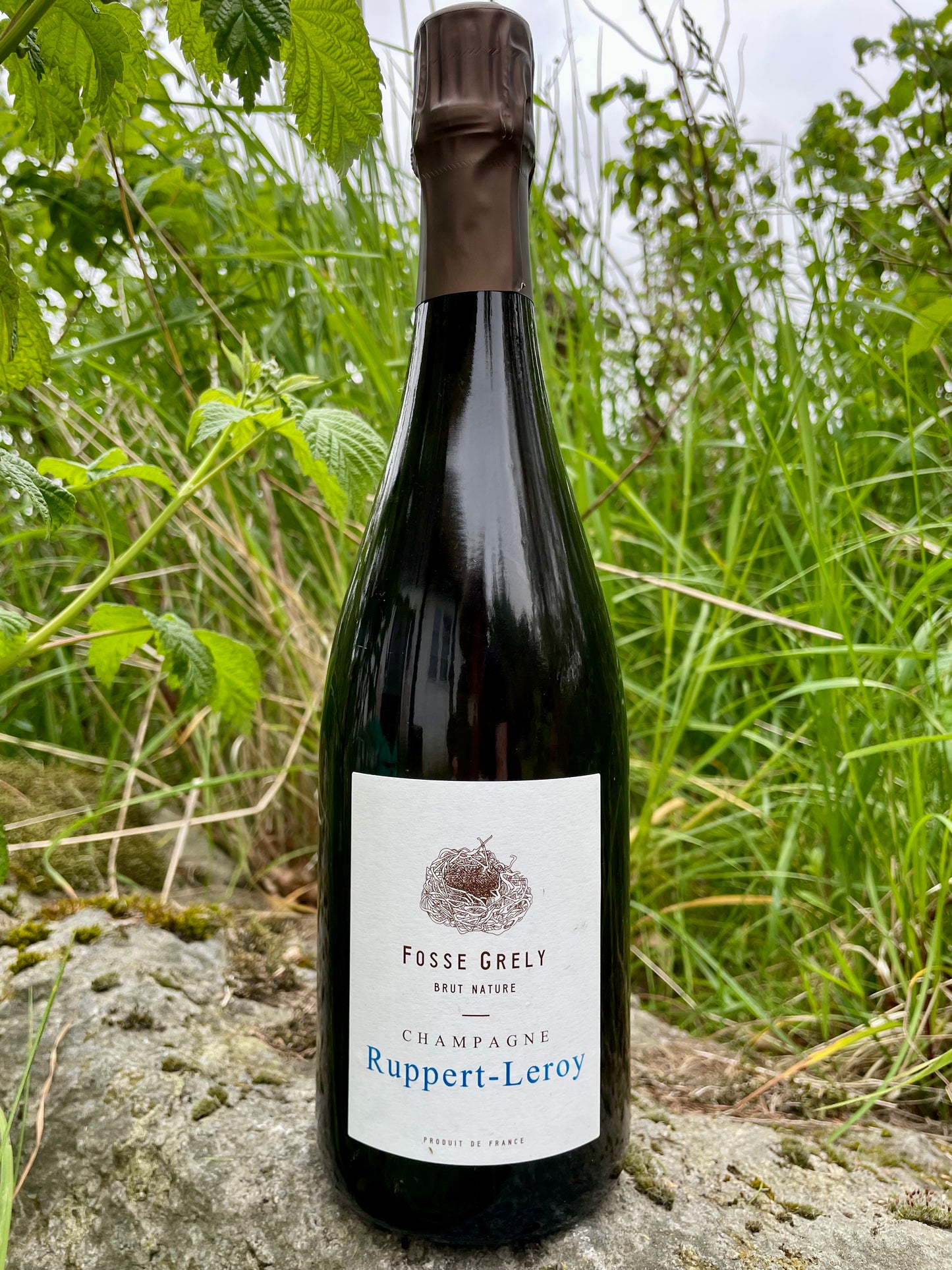 Ruppert-Leroy, Fosse Grely 2022