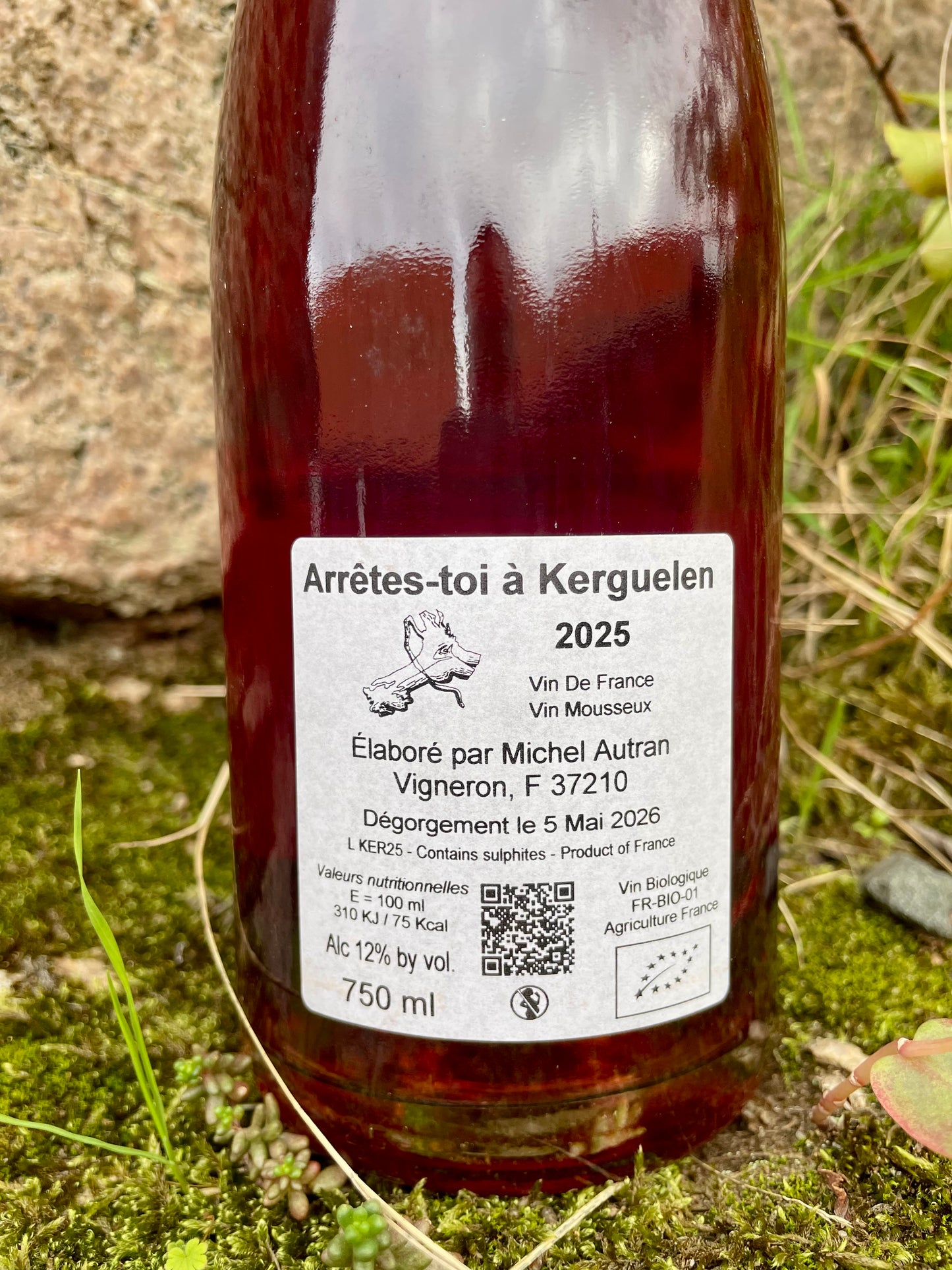 Michel Autran, Arrête-toi à Kerguelen 2025
