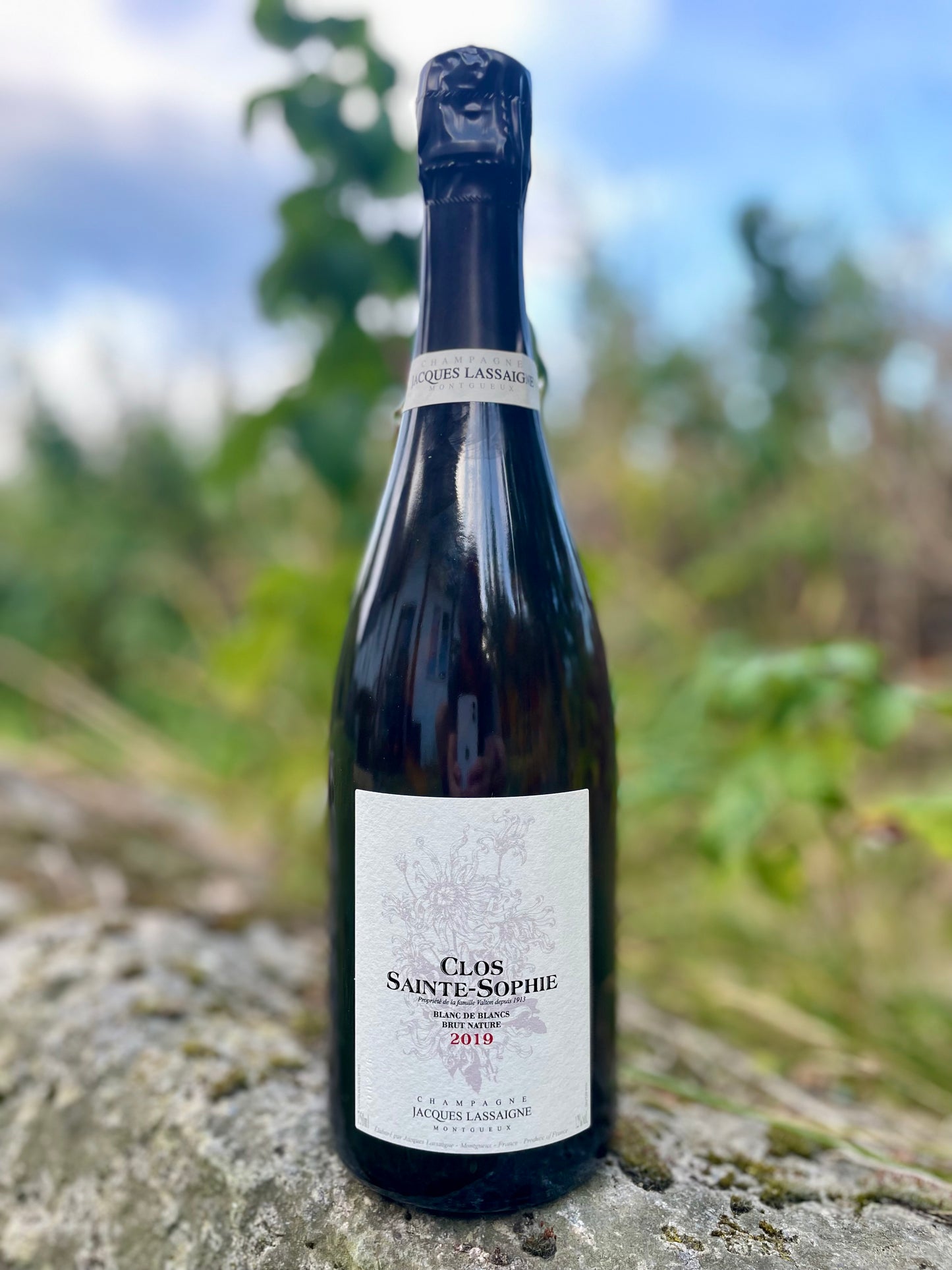 Jacques Lassaigne, Clos Sainte-Sophie 2019