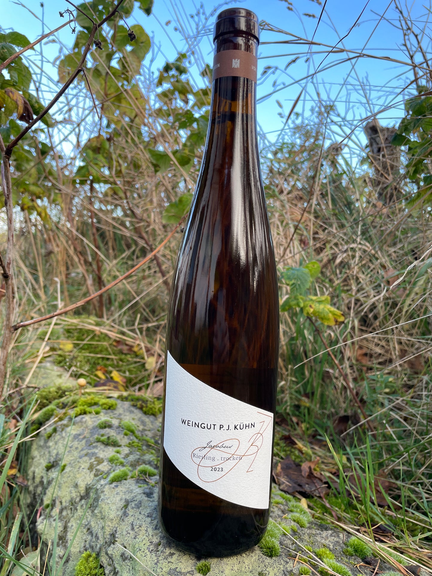 Shelf no. 108) Weingut Peter Jakob Kühn - Jacobus '23