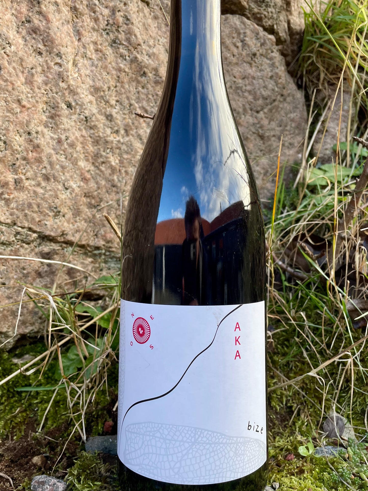 Simon Bize et Fils, Savigny-les-Beaune Rouge "Aka" '21