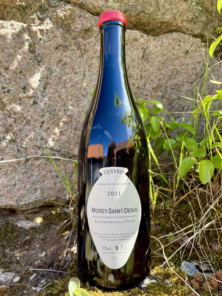 * Frédéric Cossard, Morey-Saint-Denis - Les Champs de la Vigne - Qvevris 2021