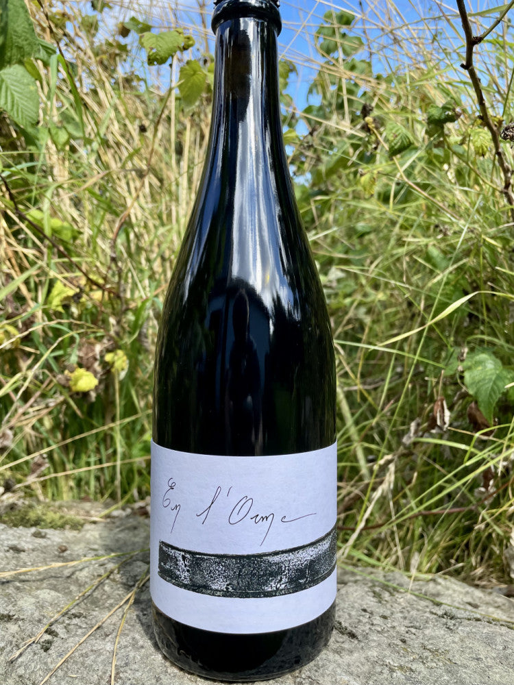 Alexandre Jouveaux - En l'Orme - 2019